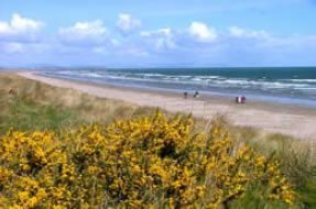 Autumn 2008 Bettystown beach Spring 2010