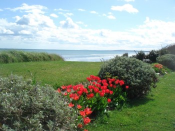 Spring 2011 Tulips at The Cottages 2011