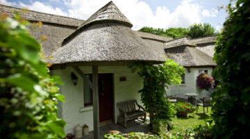 Little Orchard Cottage