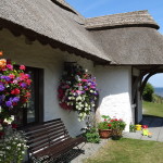 Thatcher's Rest Cottage with the flower baskets in full bloom.