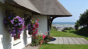 Thatcher's Rest Cottage Thatcher's Rest Cottage overlooking the sea