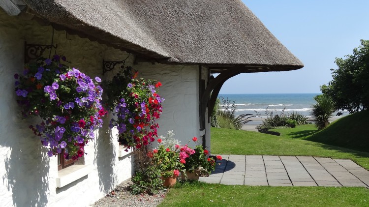 Thatcher's Rest Cottage with sea view