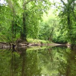 Boyne Valley Walking Festival