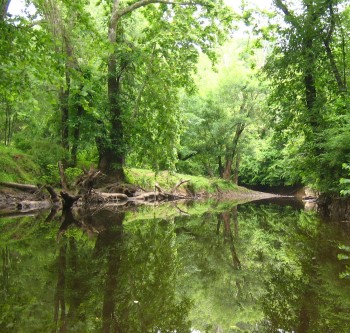 Summer 2012 Boyne Valley Walking Festival