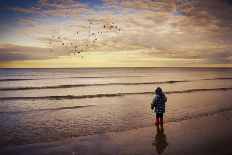 Gerard Seery Photo Competition - At the beach