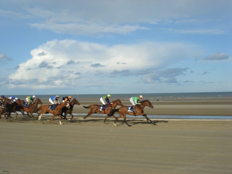 Laytown Races