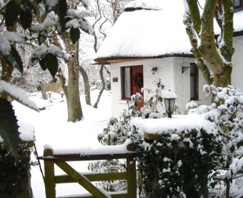 Garden Cottage in the snow