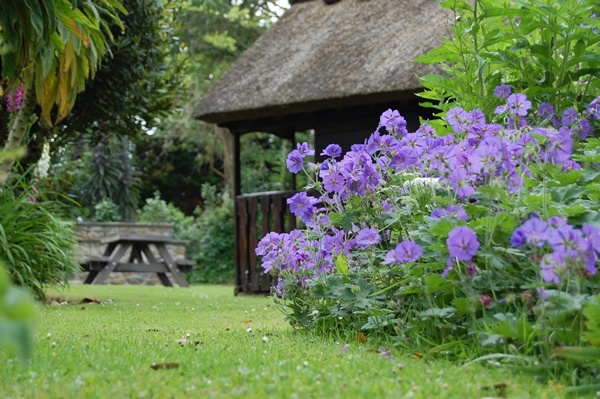 Children's Play Area