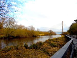 The new Boyne Way boardwalk between Drogheda and the Battle of the Boyne Visitor Centre