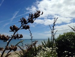 A look through the garden to the beach at the Cottages