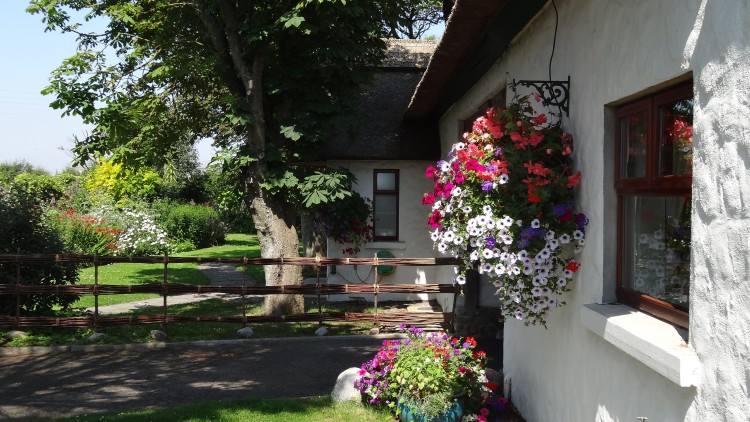The Cottages hanging baskets