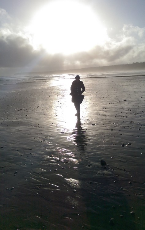 Beach Silhouette