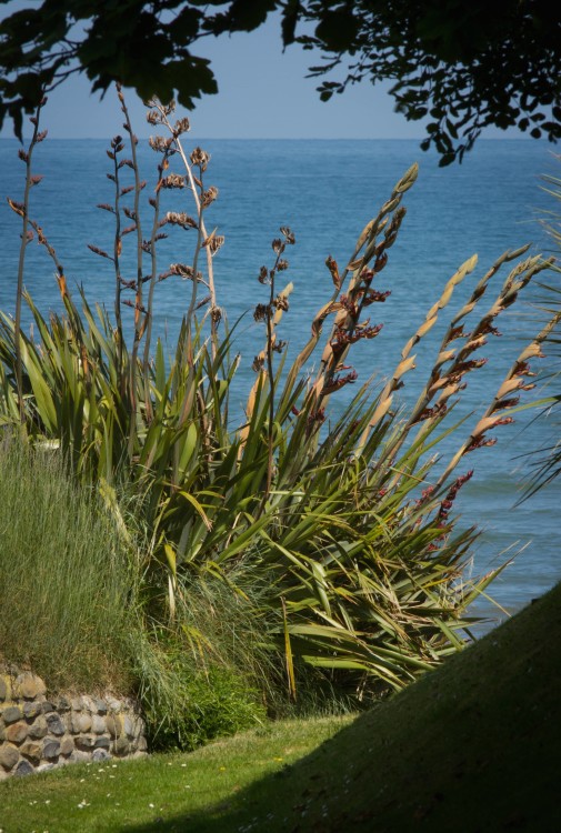 Peering through the gardens to the Sea