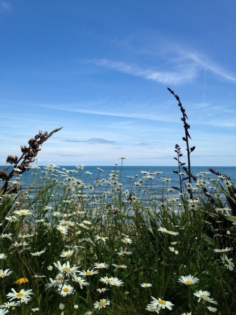 Our Photo Competition 2014 Winner by Laurel DeFreece