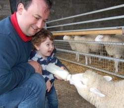 Thomas feeding the lambs at Newgrange Farm Thomas feeding the lambs at Newgrange Farm