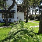 Cottage garden blog