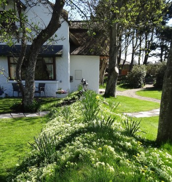Cottage garden blog
