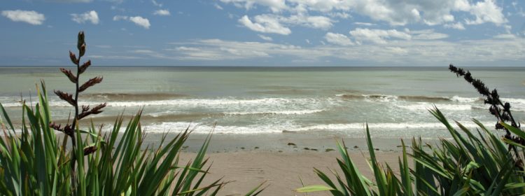 Beach view from the Cottages Beach view from the Cottages