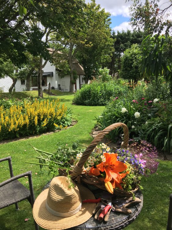 View of the Cottage gardens