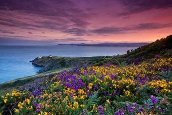 Autumn 2017 Beautiful landscape