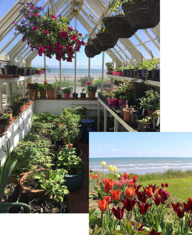 Cottages greenhouse with an overlay of the garden.