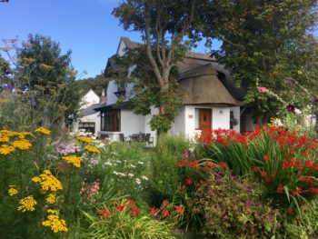 Midweek Magic View of Garden Cottage through The Cottages gardens