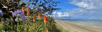 Luxury Seaside Cottage Bettystown's Blue flag beach.