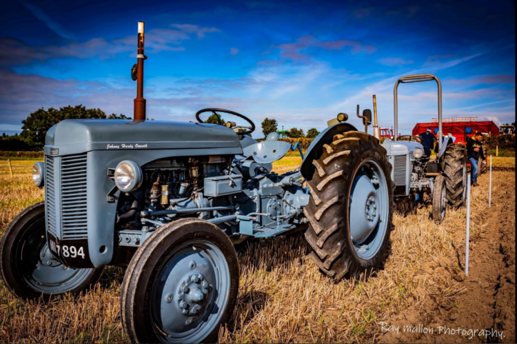 Vintage Rally tractors