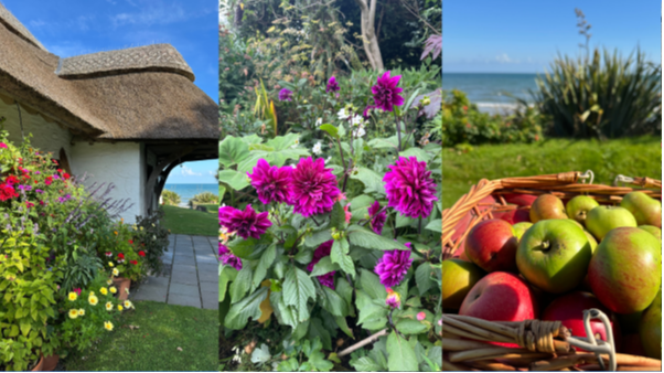 A collage of images from the Cottages