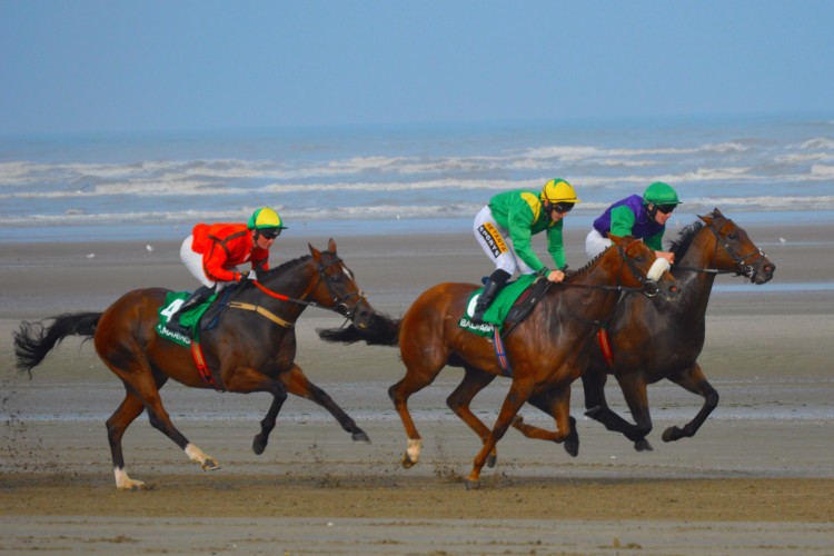 Laytown races from The Cottages