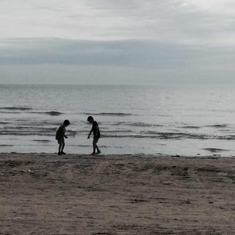 Looking for beach treasure
